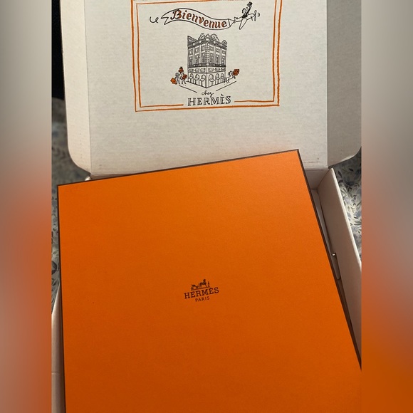 Hermes Sur Mon Nuage scarf 90 Rose Vif / Bleu / Multicolore - Picture 12 of 13